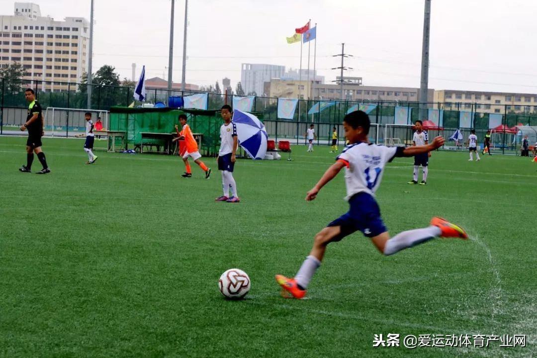 建足球场国家给补助吗?——政策支持与足球发展的新篇章 建足球场国家给补助吗?——政策支持与足球发展的新篇章